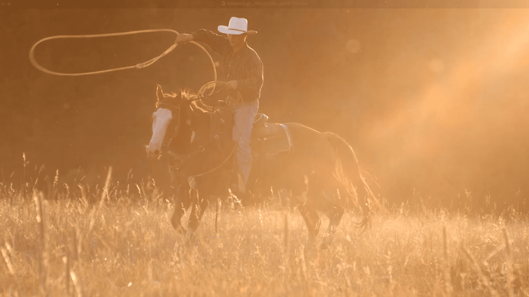 Cowboy Roping