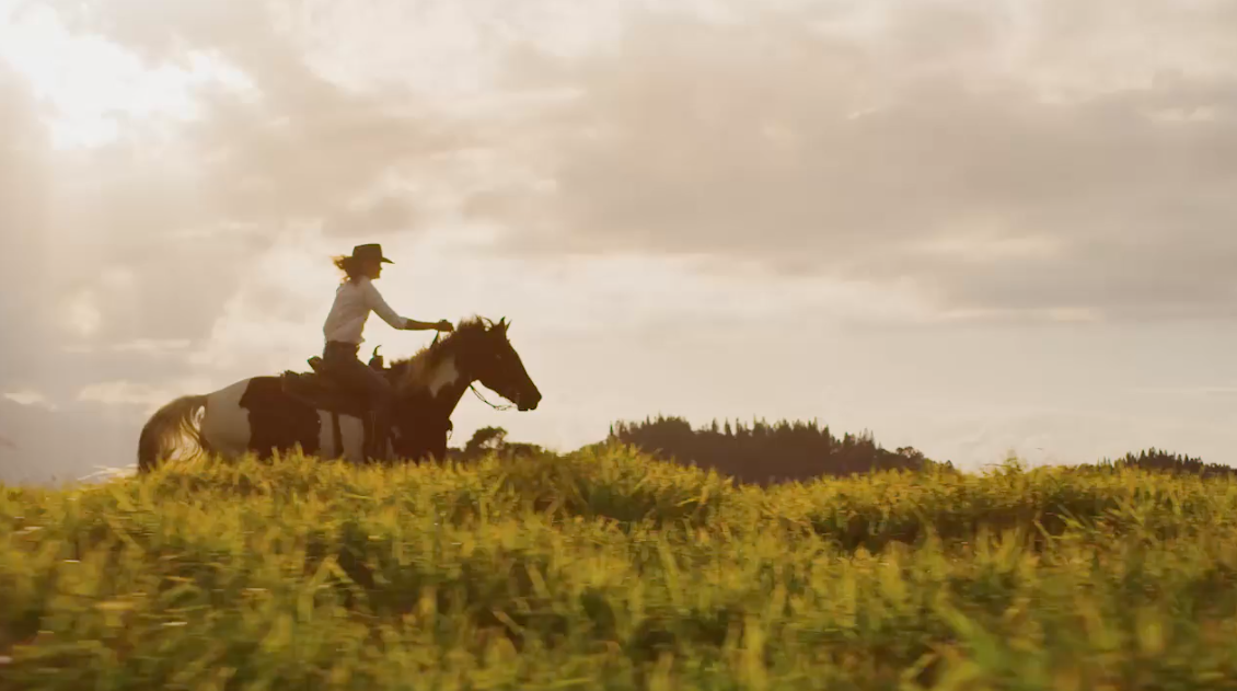 Female Rider at Sunset