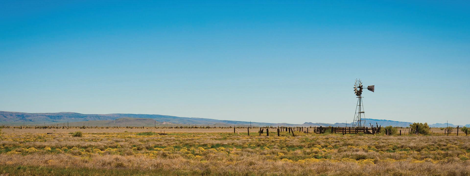 Windmill Image