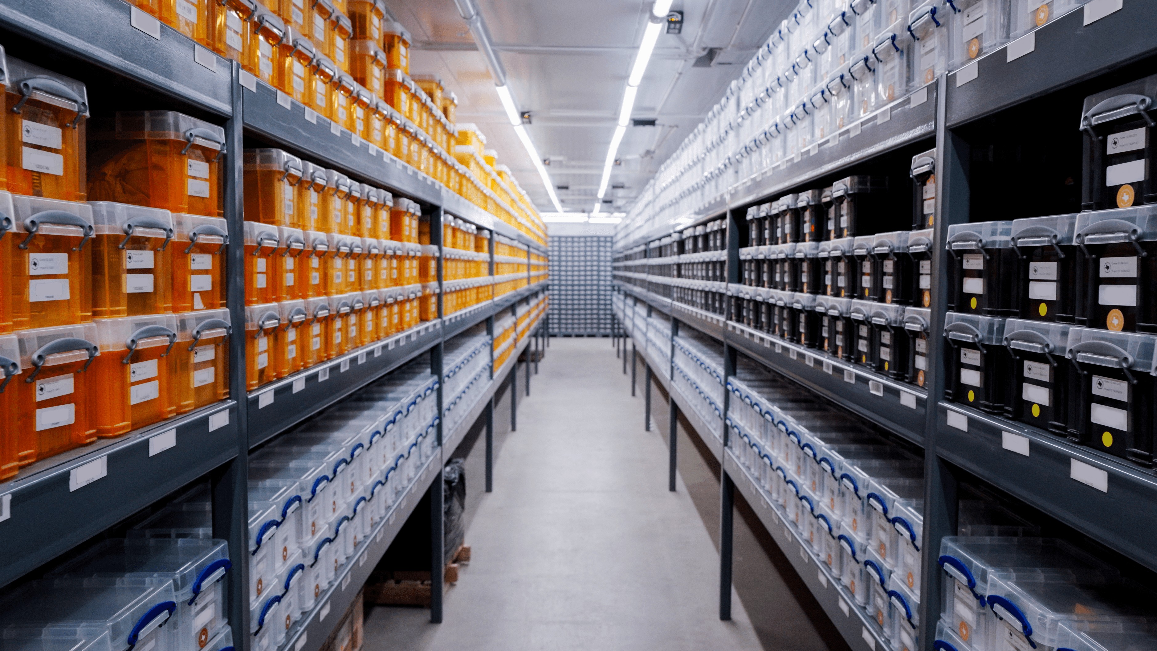 In Stock Policy Hero Image