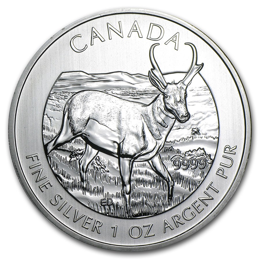 Canadian Wildlife Series - Silver Pronghorn Antelope